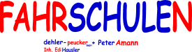 Verkehrsinstitut & Fahrschule Dehler-Peucker GmbH - Logo